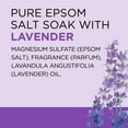 thumbnail image 7 of (Pack of 2) Dr Teal's Epsom Salt Magnesium Soak, Soothe & Sleep with Lavender, 7 lbs, 7 of 7