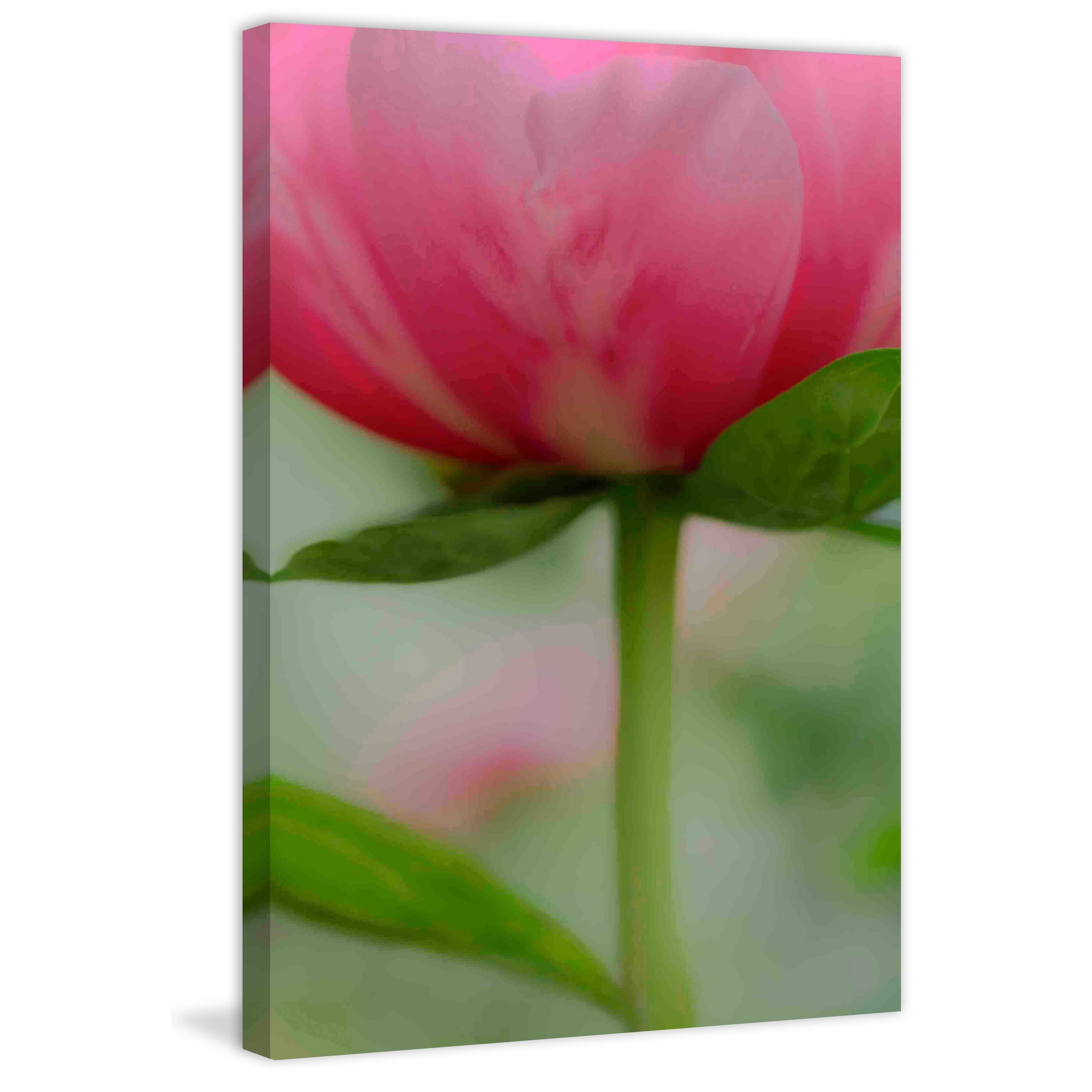 "Soft Pink Poppy" Painting Print on Canvas