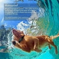 thumbnail image 4 of Pet Trainer Dog Barking Prevention Remote Control with LED Flashlight, Warning Sound, Vibration, Electric Shock, 4 of 5