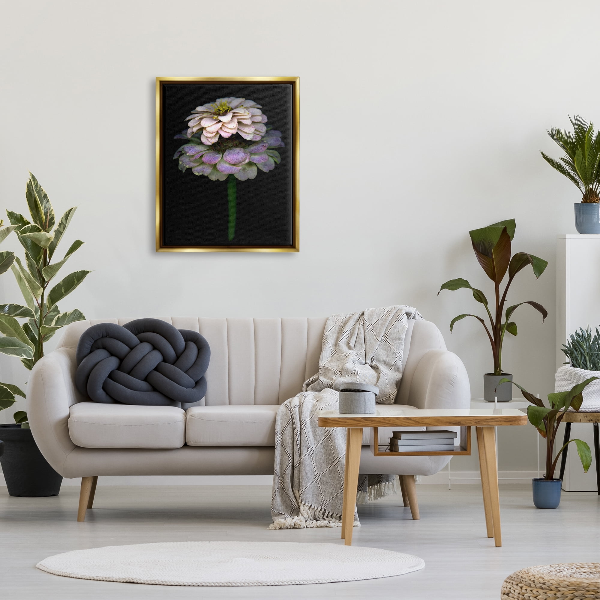 Stupell Industries Dahlia Bud Photography Botanical & Floral Photography Gold Floater Framed Art Print Wall Art, 25 x 31