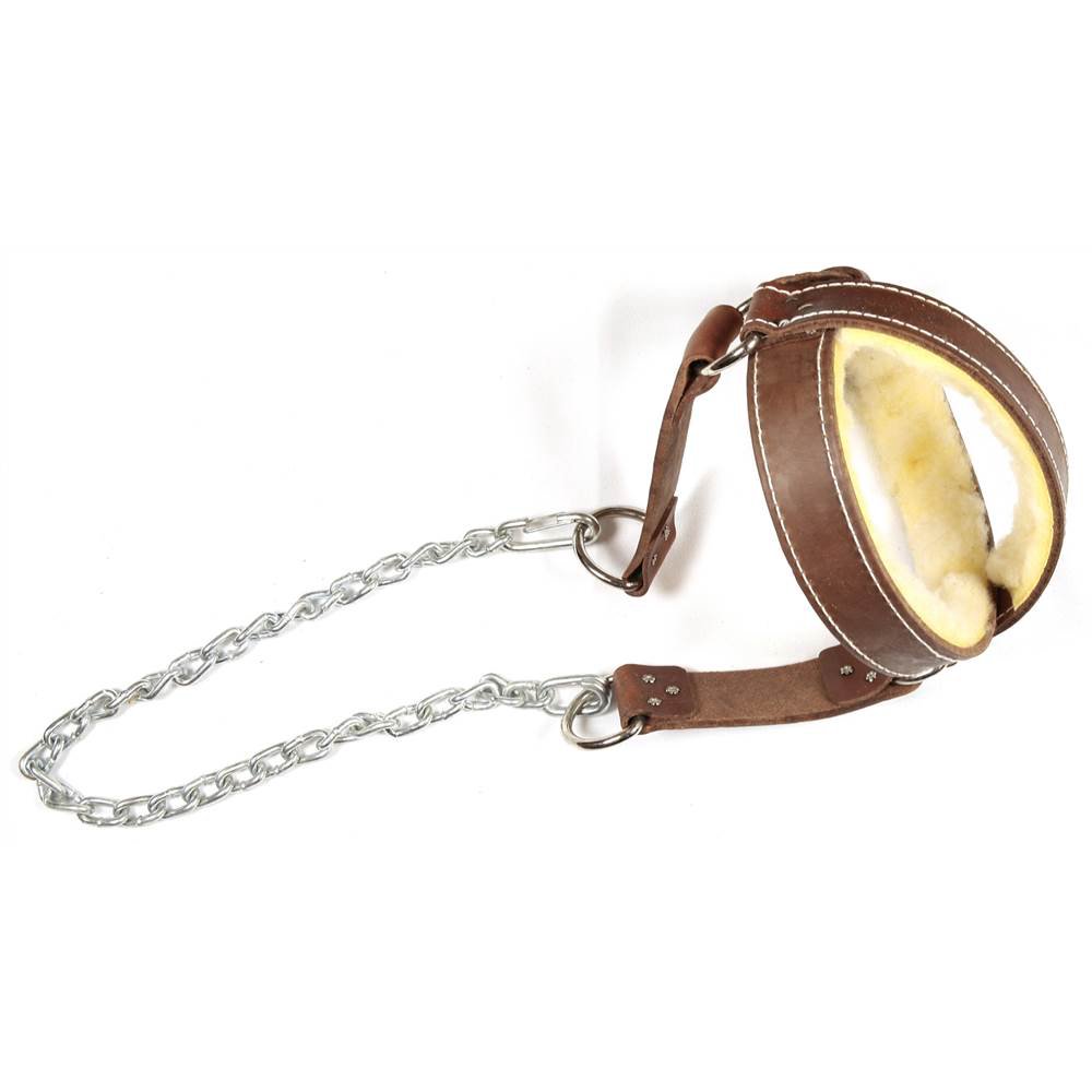 Leather Neck Harness