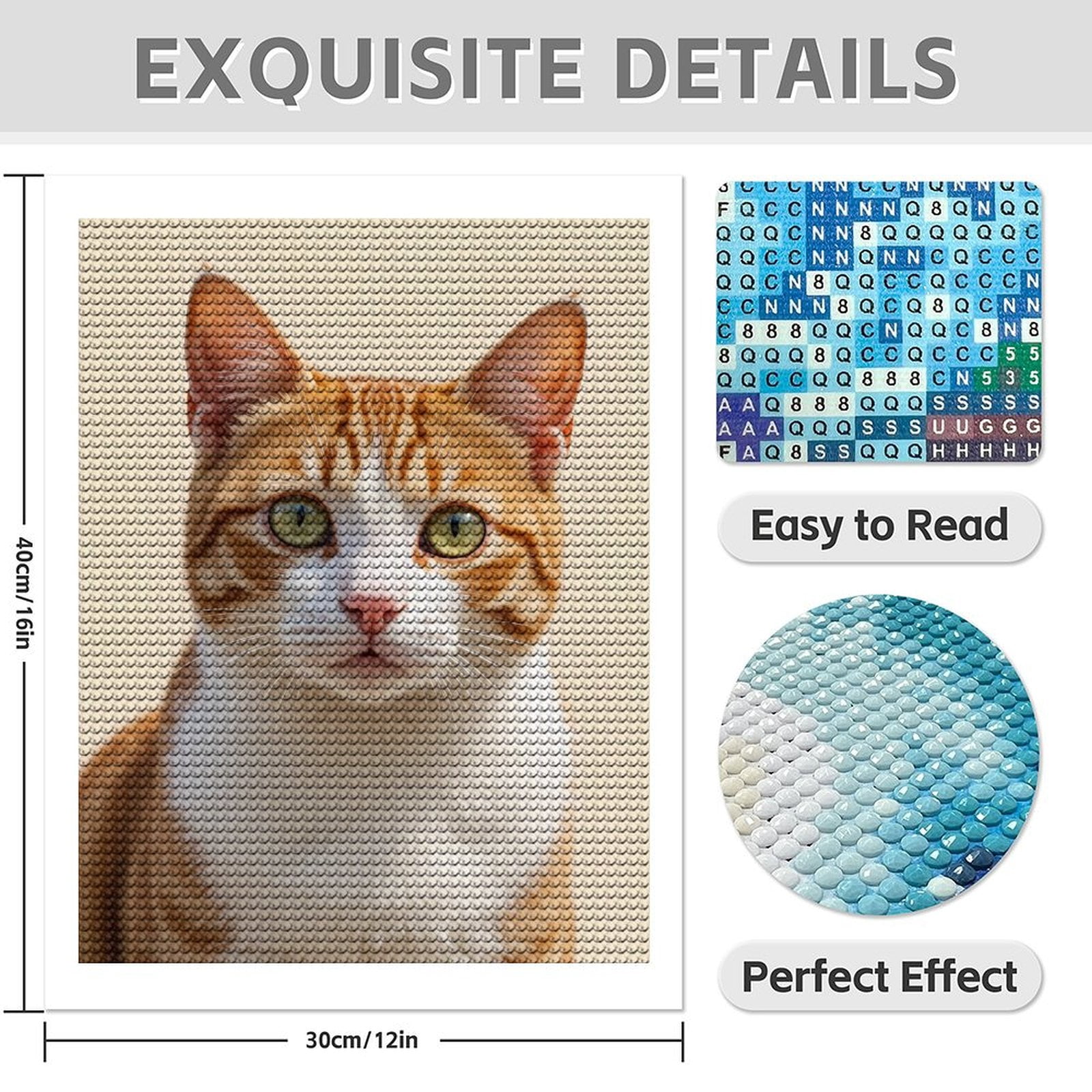 Diamond Art Kits for Adults - 5d Orange Tabby Cat Portrait Diamond Painting for Adults, Diamond Art for Adults Beginners, Diamond Painting Kits for Adults for Home Wall Decor