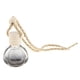 thumbnail image 2 of 60x 10ml Botella De Perfume Vacía Colgante Coche Adorno Colgante Decoración Del Hogar SM SunniMix Botella de perfume del coche, 2 of 8