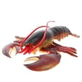 Mutmorningal Simulation Sea Lobster Model Creative Marine Animals Model
