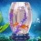 thumbnail image 5 of Productos de Alimentación de Peces Acuario de Peces Betta Tropical Fish Fish Bowl 2, 5 of 9