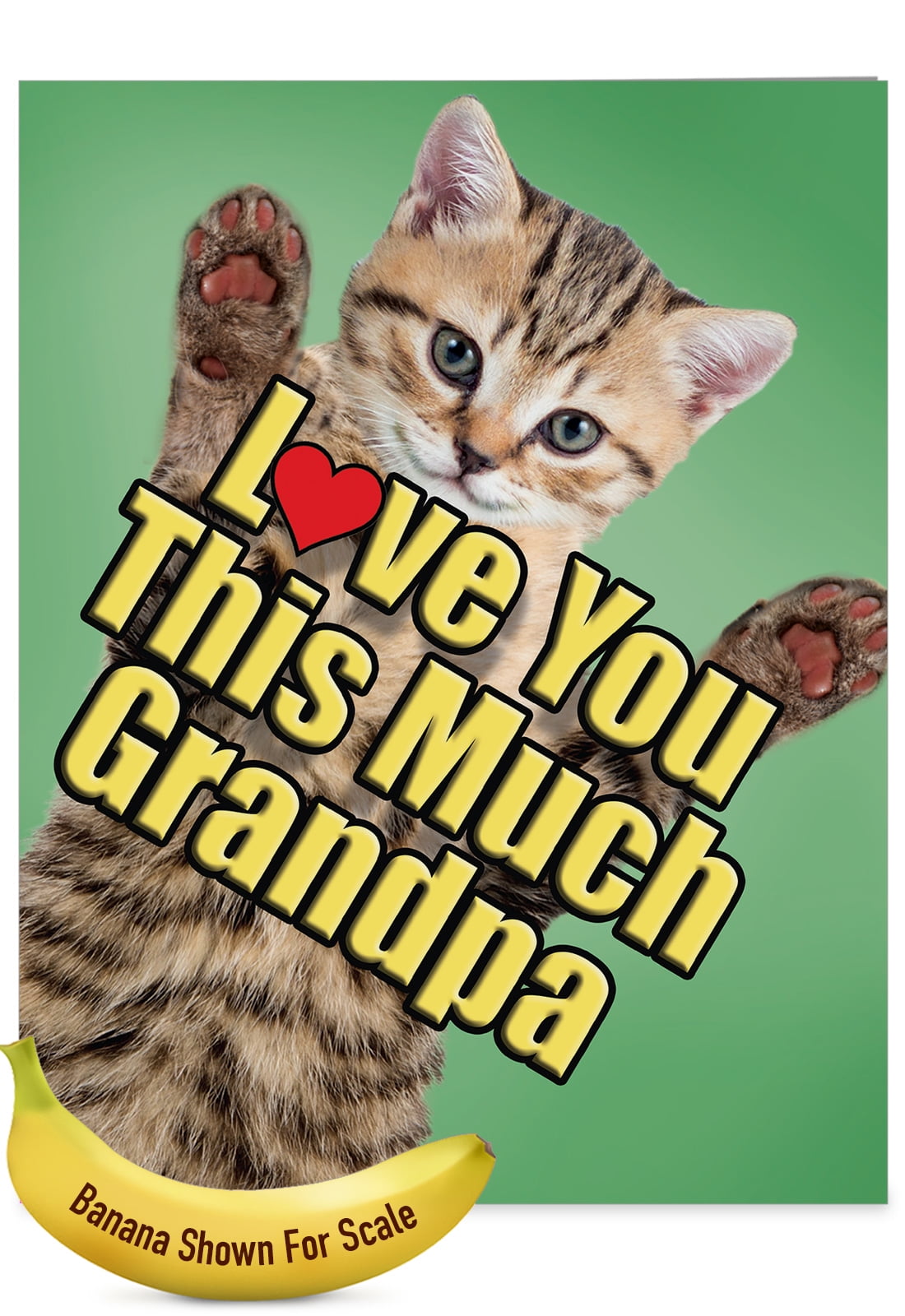 Download J6610hfgg Jumbo Father S Day Grandpa Card Cat Love You This Much Grandpa With Envelope Jumbo Size 8 5 X 11 Walmart Com Walmart Com