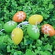 thumbnail image 5 of Set de adornos colgantes para huevos de Pascua en pack de 6 | Colgante multicolor de huevo roto de plástico • 2,36x1,57 pulgadas | Decoración festiva de Pascua para casa, fiesta, oficina, 5 of 9