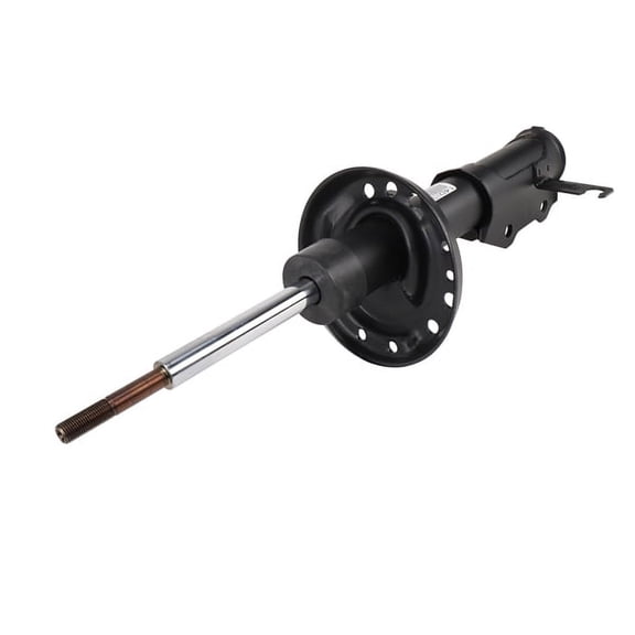 Front Passenger Side Suspension Strut