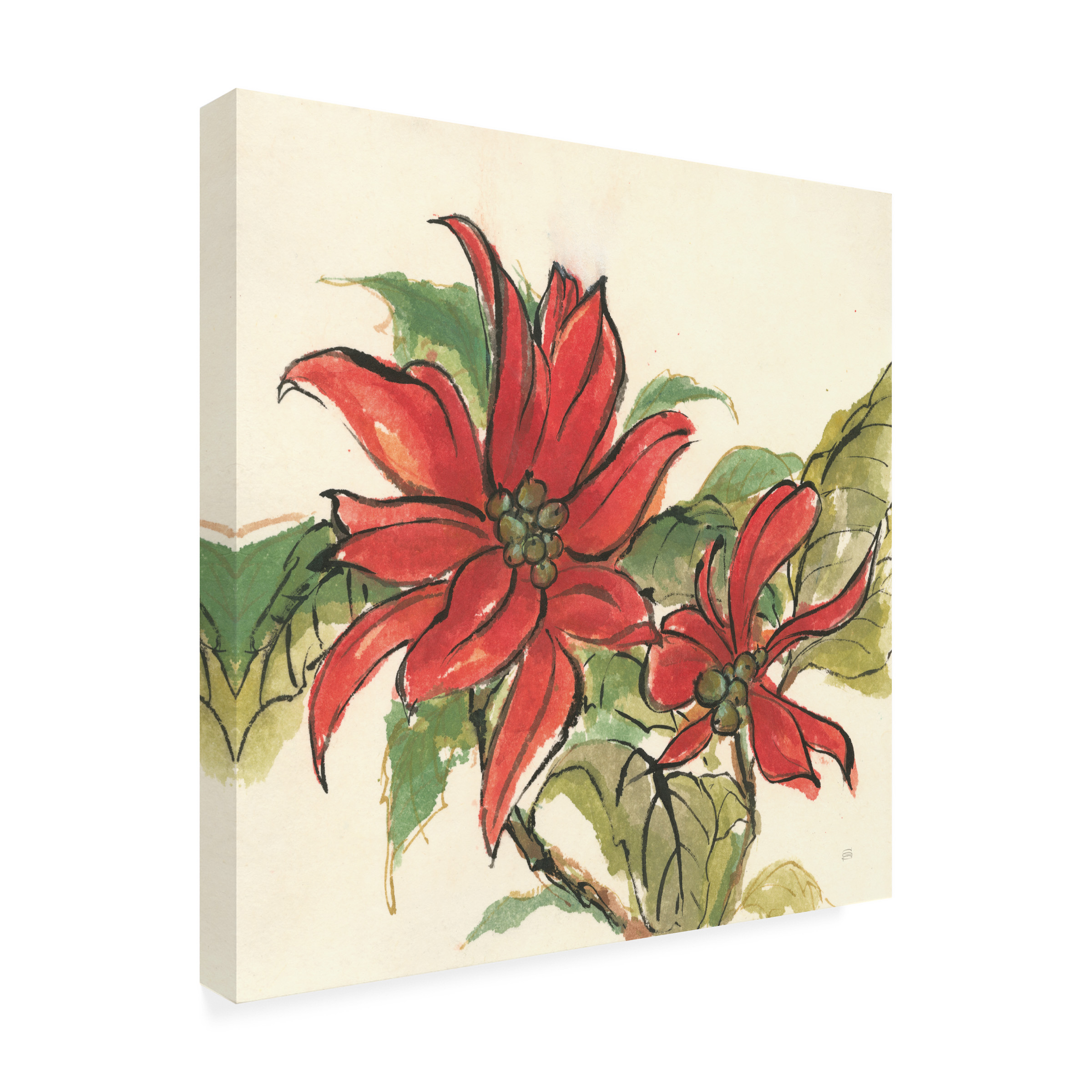 Trademark Fine Art 'Poinsettia II' Canvas Art by Chris Paschke