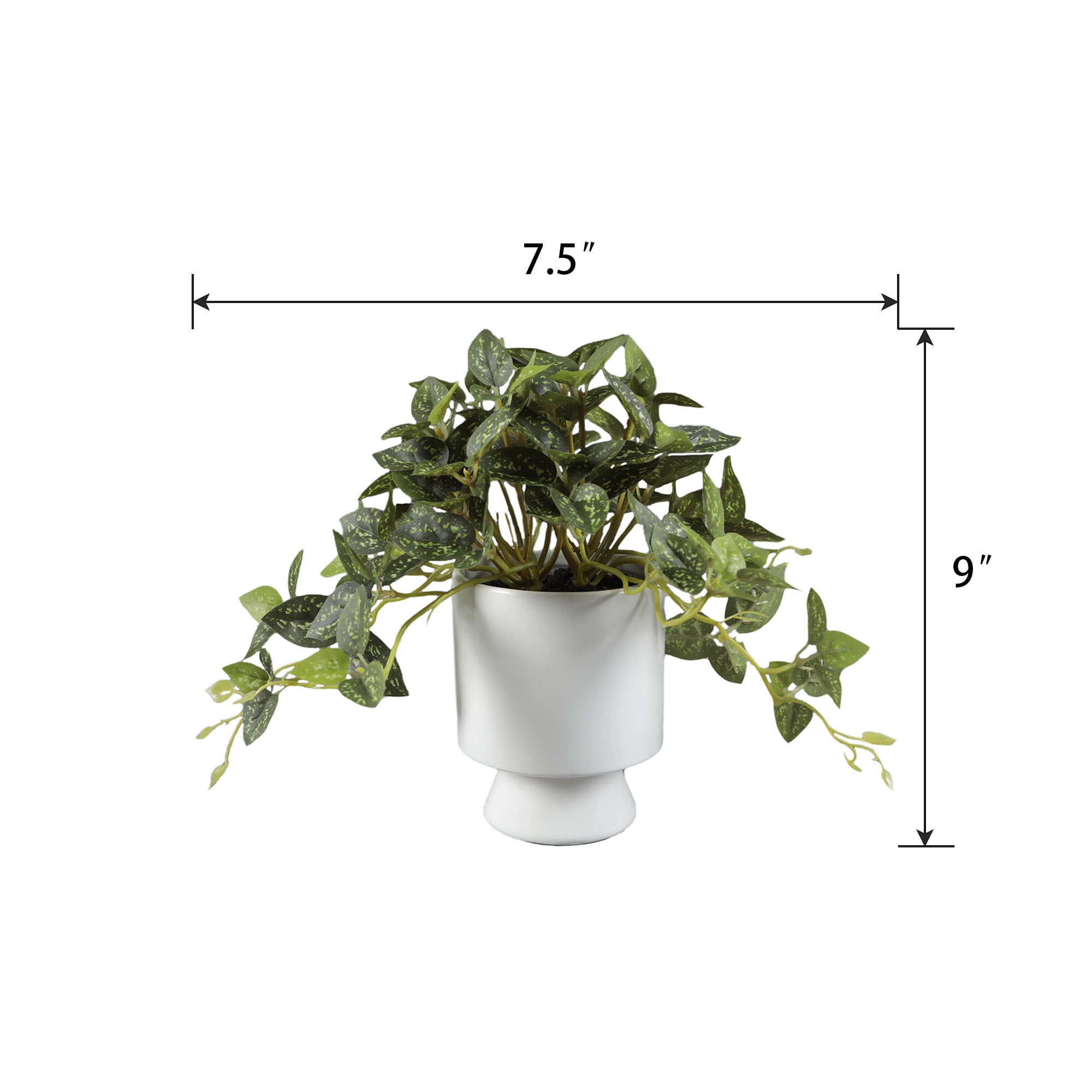 Artificial Trailing Leaf Plant in Ceramic Pot, 9 in H x 7.5 in W x 7.5 in D