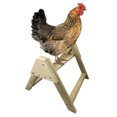 thumbnail image 2 of Chicken Roosting Perch Made in The USA! Roost Toys and Accessories for Coop Heavy Duty Solid Handcrafted Wood Construction for Birds Hens Chook Pollos Gallinas Chicks, 2 of 8