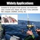 thumbnail image 4 of Natural Bait Scent Fish Attractants For Baits, Fishing Attractants, Fish Lure Additive Spray, High Concentration Fish Bait Attractant Enhance, 4 of 5