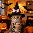 thumbnail image 5 of Qocolcyl Pet Mini Witch Hat for Cats Small Dogs, Glitter Bow Pom Pointed Witch Costume Hat, Adjustable Elastic Strap Halloween Decorations Pet Party Photo Prop Holiday Accessory Gift, 5 of 7