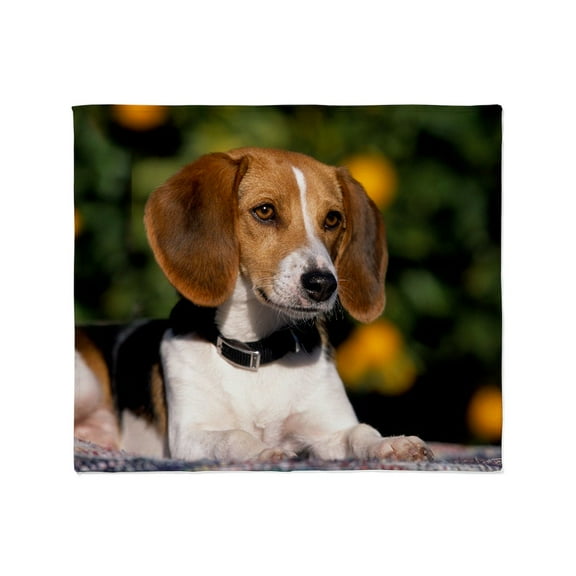 CafePress - AFH L Print Throw Blanket - Soft Fleece Throw Blanket, 50"x60" for All Ages