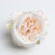 thumbnail image 3 of Set de 20pcs de Simulación Rosa Yuyangstore Cabeza de Flor Champán Claro Cabezales de flores artificiales, 3 of 8