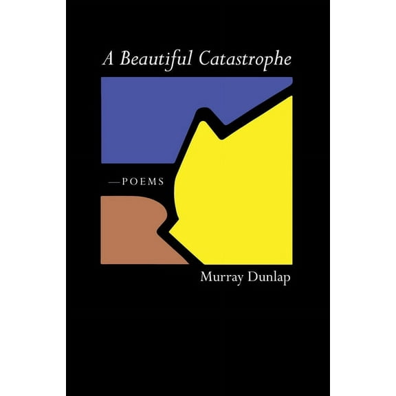 A Beautiful Catastrophe (Hardcover)