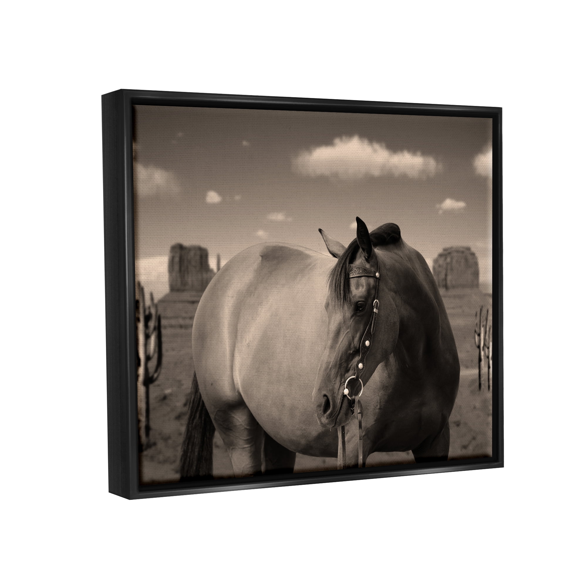Stupell Industries Desert Horse Photography Animals & Insects Photography Black Floater Framed Canvas Art Print Wall Art, 21 x 17