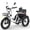 White, variant on S Electric Tricycle for Adults, 750W(Peak 1350W) Motor, 48V13Ah Battery, 20"x4" Folding Fat Tire 3-Wheel Electric Trike, 20MPH, Hydraulic Brakes, Rear Basket & Differential, UL2849