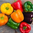 thumbnail image 2 of GSDWIUEW Sweet Bell Pepper Rainbow Mix Vegetable for Planting Heirloom, 2 of 8