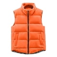 thumbnail image 3 of Vest for Women Hemlock Winter Warm Vest Outerwear Thick Padded Sleeveless Casual Vest, 3 of 6