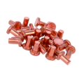thumbnail image 1 of HUGFEGWE Flat Head Solid Copper Rivets Nuts Copper Flat Head Semi-Tubular Rivets for Household Automobile Industry Brass Tone 3x5mm 100PCS CJB91-25892, 1 of 5