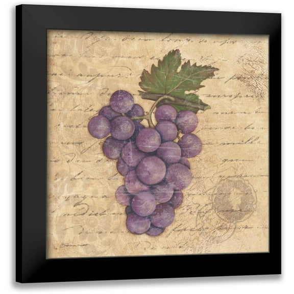 Marrott, Stephanie 12x12 Black Modern Framed Museum Art Print Titled - Grapes I