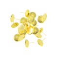 thumbnail image 2 of 24 Uds. Ajustes de copa de poste de pendiente de Metal de latón aptos para hallazgos de cabujones de 10mm Oro Sunnimix Bisel de pendientes redondos, 2 of 8