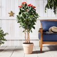 thumbnail image 5 of Nearly Natural Arbre Artificiel Hibiscus 4 Pieds, Vert, 5 of 5