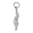 thumbnail image 2 of 14K White Gold Casted Textured and Polished Finish Solid Men's Sea Turtle Charm Pendant, 2 of 2