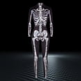 thumbnail image 5 of Yuncity Halloween Women Jumpsuit Skeleton Print Gothic Bodysuit Long Sleeve Stretchy Slim Fit Romper Cosplay Festival Party Wear White, 5 of 5