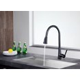 thumbnail image 2 of Anzzi Kf-Az216 Tulip 1.8 GPM Single Hole Pull Down Kitchen Faucet - Bronze, 2 of 7