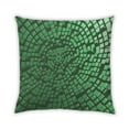 thumbnail image 1 of Ahgly Company Outdoor Square Contemporary Throw Pillow, 18 inch by 18 inch, 1 of 5