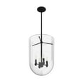 thumbnail image 6 of Hunter - Sacha 4-light Natural Black Iron, Medium Size Pendant Light, Dimmable, Modern Style, Urn Shaped, for Bedrooms, Dining, Living Rooms - 19320, 6 of 9