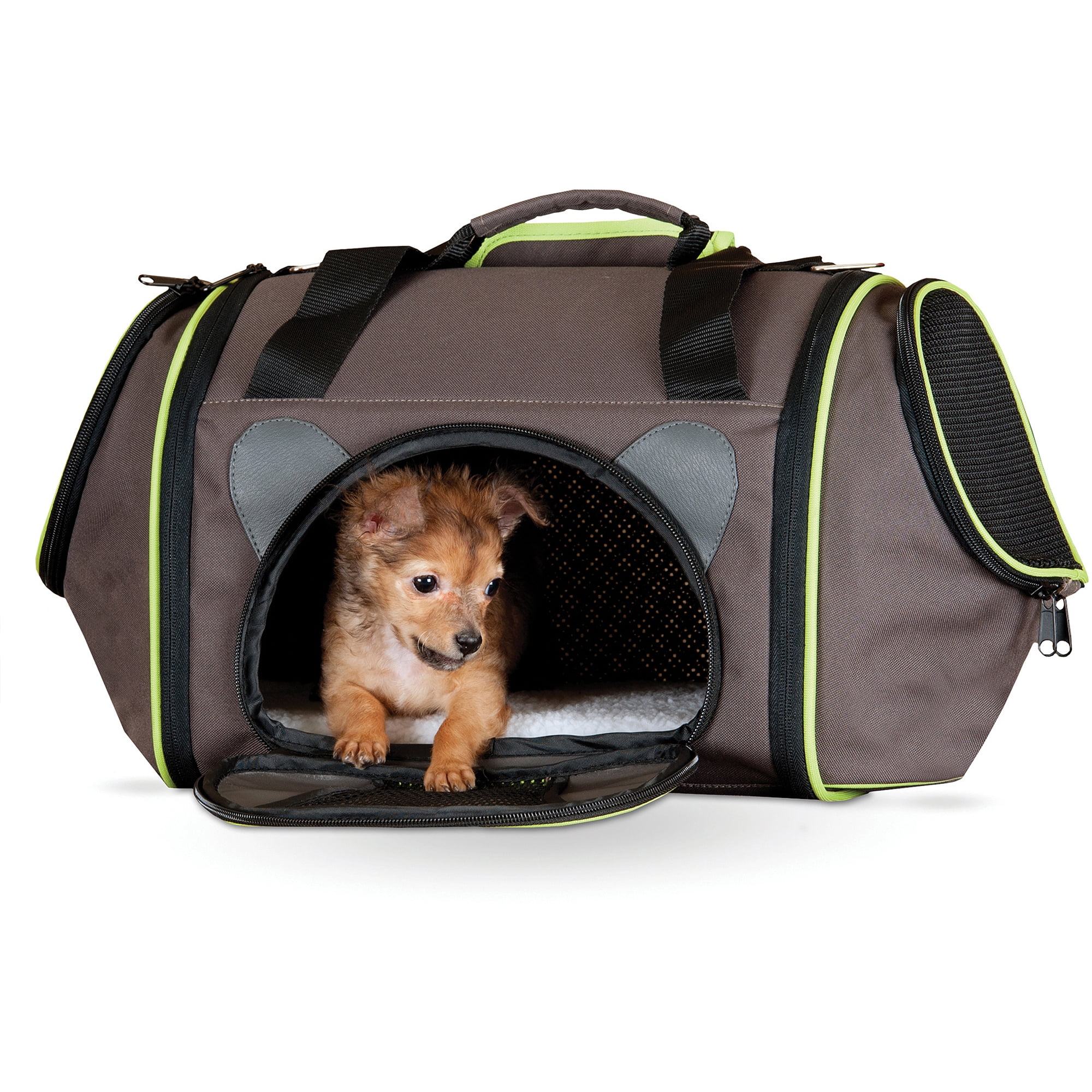 unique pet carriers