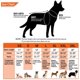 thumbnail image 3 of Impermeable plegable para mascotas con capucha para perros, chaqueta impermeable con tiras reflectantes, poncho ligero y ajustable para perros pequeños y medianos (1 unidad, amarillo, talla M), 3 of 5