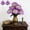 Purple, variant on Artificial Wildflowers Bulk Spring Decor Purple Fake Cosmos with Long Stem Silk Flower Mums Chrysanthemum Faux Flowers Arrangements ,For Vase Home Table Wedding Decor Centerpiece