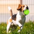 thumbnail image 7 of LECHONG Christmas Dog Toys 6 Pack 3.5" TPR Dog Chew Toys Squeaky Balls for Medium and Large Dogs, 7 of 7