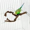 thumbnail image 4 of Palo de percha para pájaros Palo de piezaza para pájaros Columpio Masticador Juguetes para pájaros natural Jaula para pájaros Percha para jaulas de Sunnimix percha de pájaro, 4 of 8