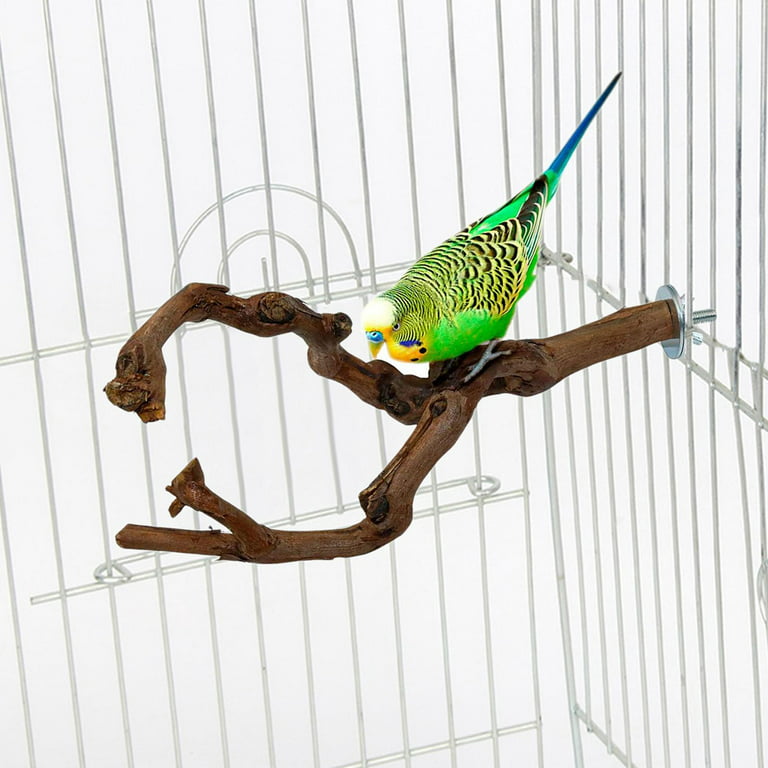 Bird Rope Perch, Colorful Rotate Cotton Rope Bird Perch Stand, Rope Bungee  Bird Toy for Parakeets Cockatiels, Conures, Parrots, Love Birds