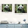 thumbnail image 6 of JRXY Panda Pictures Canvas Wall Art Posters Animal Prints Printing Home Office Decor  20x16inch, 6 of 6