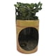 thumbnail image 4 of Lindo Medidor de Humedad Del Función de Sensor de Humedad de La Planta para Inddor Outdoor Bonsai Farm Yard de Plantas Recordator Soledad Medidor de humedad del suelo, 4 of 10