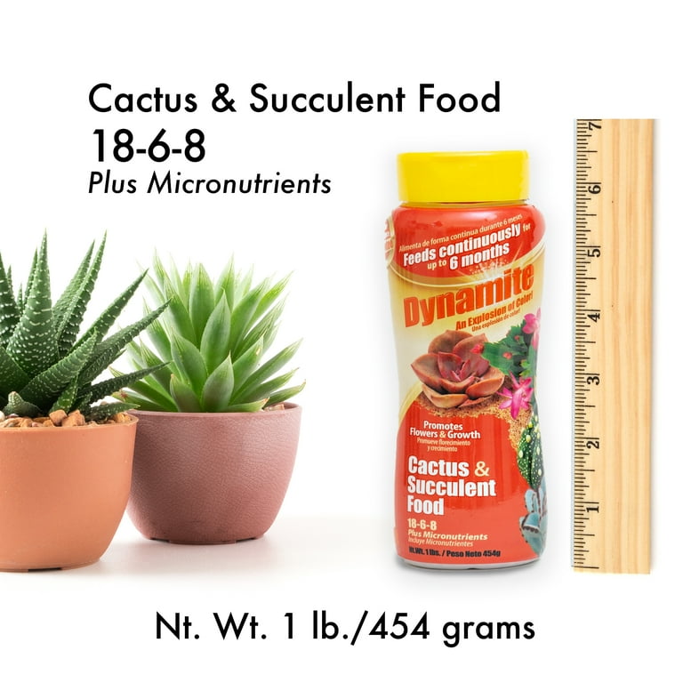 Buy Liquid Succulent Fertilizer For Cactus And Succulent Plants | Perfect Plants