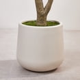 thumbnail image 6 of DR.Planzen 5ft Dense Artificial Olive Tree - Faux Olive Plant for Indoor & Outdoor Decor - Adjustable Branches - UV Resistant Realistic Olive Tree in White Planter, 6 of 11