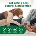 thumbnail image 6 of Advantage Carpet & Upholstery Spot Spray, Kills Fleas & Ticks & Bedbugs, 16 oz., 6 of 7