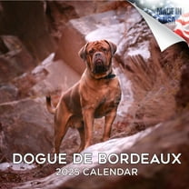 2025 2026 Dogue de Bordeaux Calendar - Dog Breed Monthly Wall Calendar - 12 x 24 Open - Thick No-Bleed Paper - Giftable - Academic Teacher's Planner Calendar Organizing & Planning - Made in USA