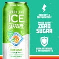 thumbnail image 2 of Sparkling Ice Caffeine Citrus Twist, 16 Fl Oz Can, 12 count, 2 of 6