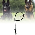 thumbnail image 4 of Dog Training Traction Rope - Explosion-Proof, Adjustable, P-Chain Structure, High-Strength Material, Reflective, for Behavior Correction & Walking, 4 of 6