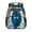 Lightning Wolf, variant on Jeiento Cute Capybara 13.5 Inch Preschool Backpack, Polyester Toddler Bookbag with Mesh Side Pockets, Adjustable Shoulder Straps School Bag for Boys Girls Kindergarten