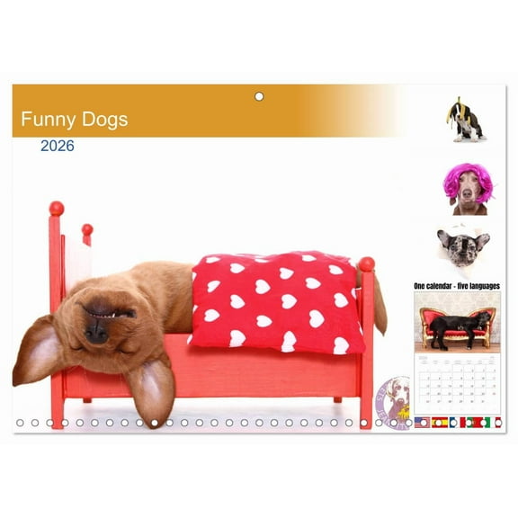 Funny Dogs (Monthly Wall Calendar 2026 11.7 x 16.5 (open)), CALVENDO 14 Month Calendar