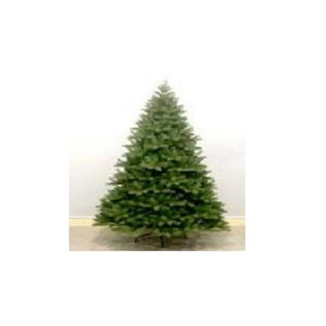 National Tree PEDD1-503-65 6.5 ft. Feel Real DownSwept Douglas Fir Hinged Tree